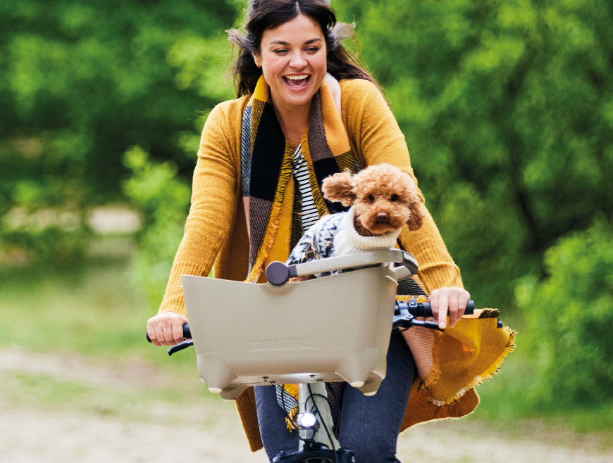 Basil collectie 2025