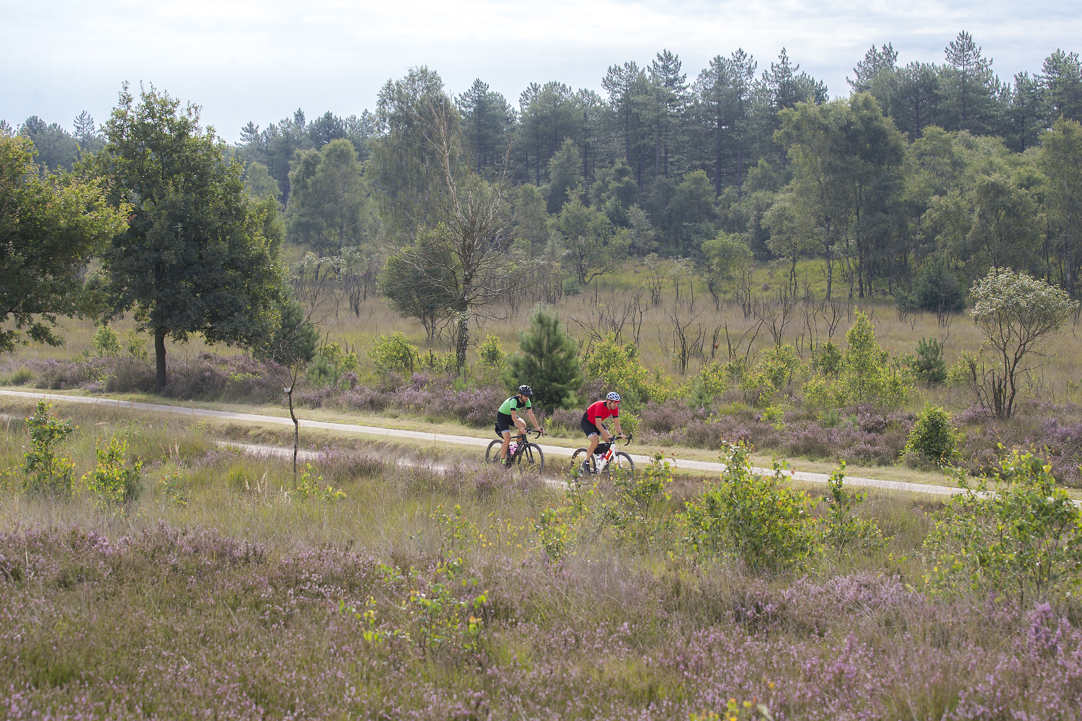 20170808_ExploroVeluwe_0566