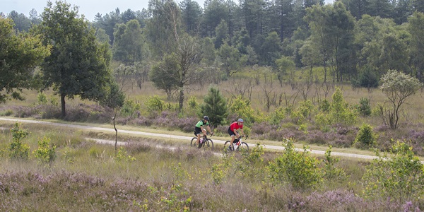 20170808_ExploroVeluwe_0566