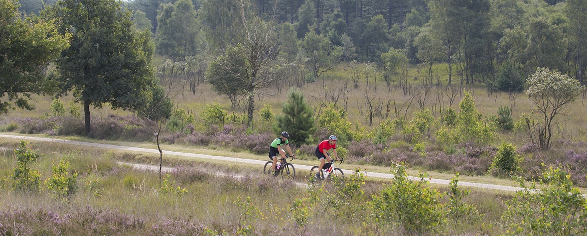 20170808_ExploroVeluwe_0566