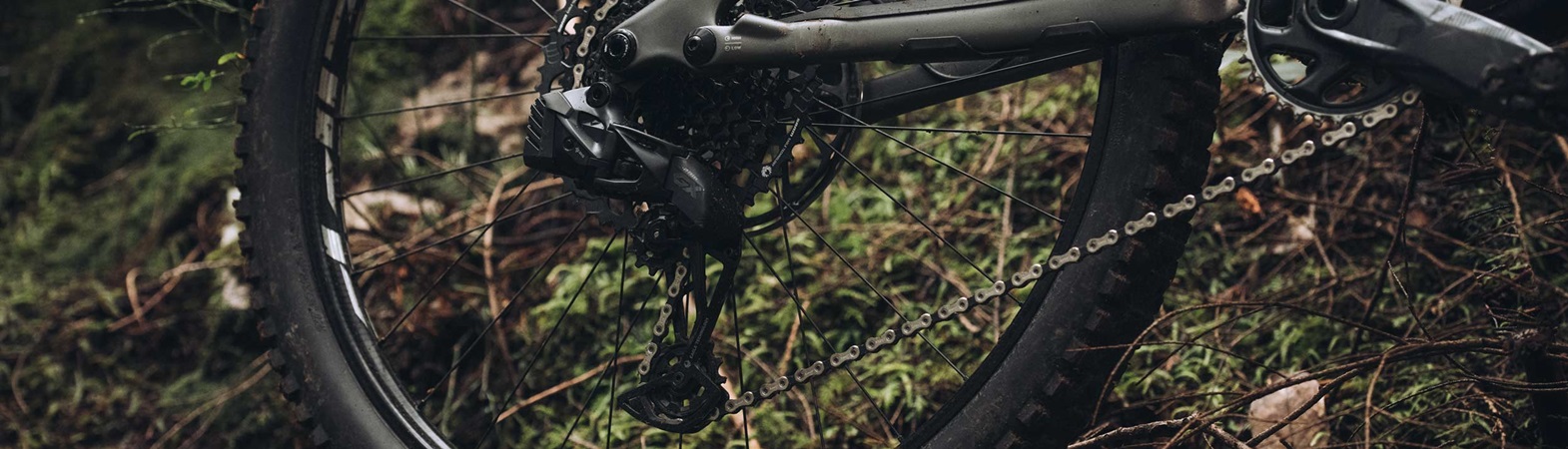 SM_210208_GXeagleAXS_NorthShore_MR_5838_H_22254139911223718081_header