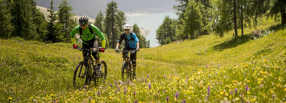 Met Rodi kan je nieuwe grenzen aan