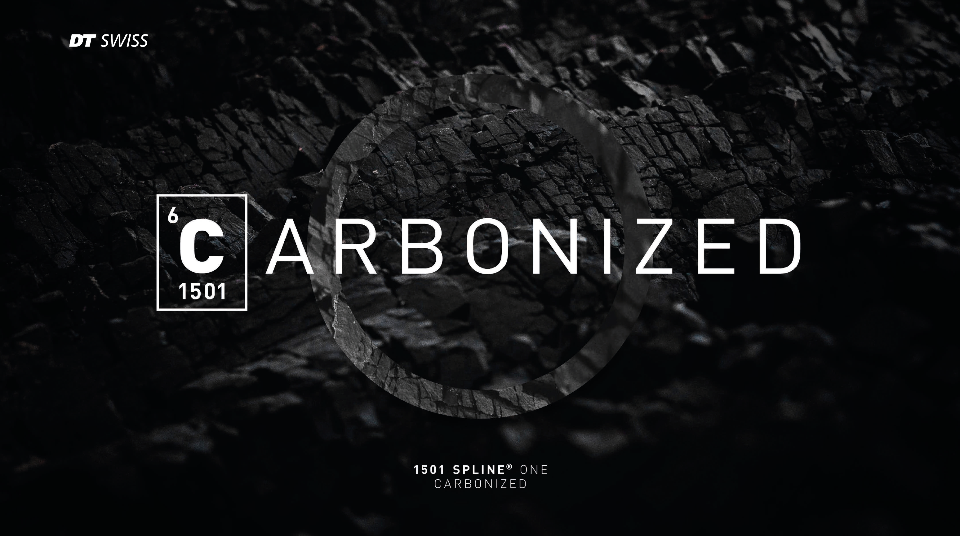 DTSwiss1501SplineOne_Carbonized