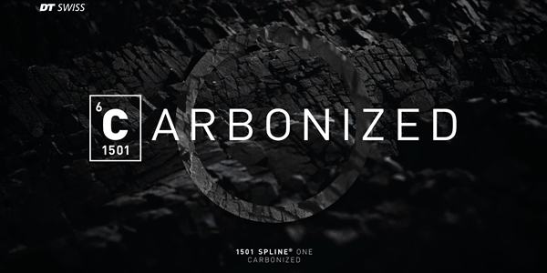 DTSwiss1501SplineOne_Carbonized