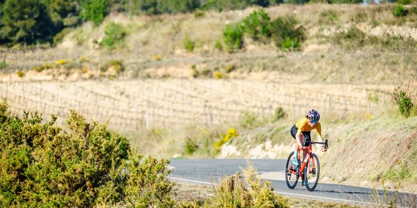 mgasch_STRADA12_190328__DSC0322