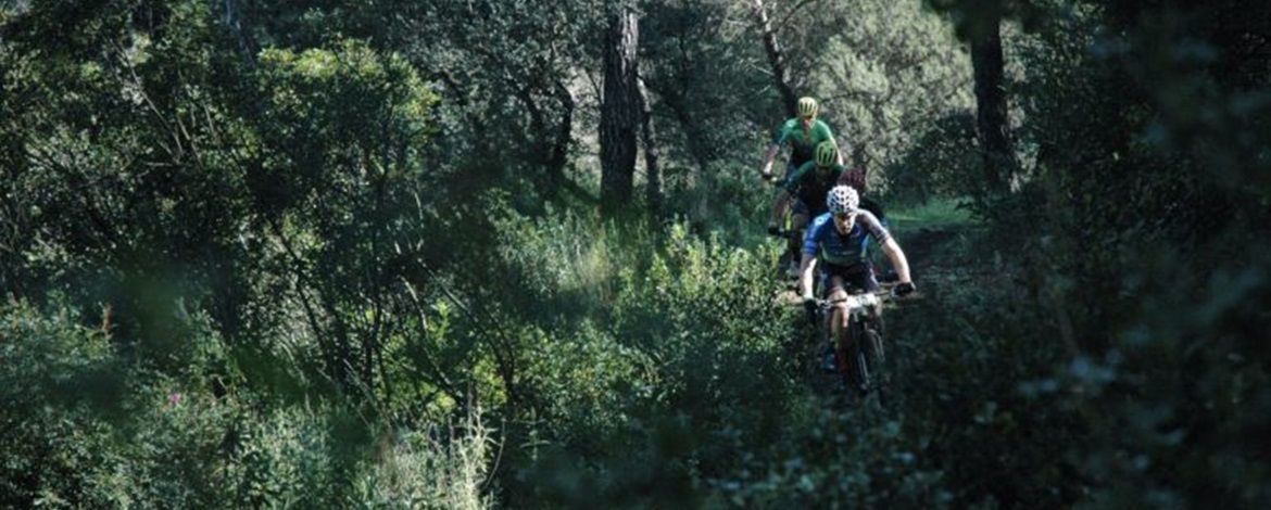 Roel-Stage-4-Andalucia-Mid-Res-768x510